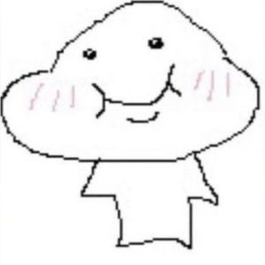 Meet your Posher, Molly